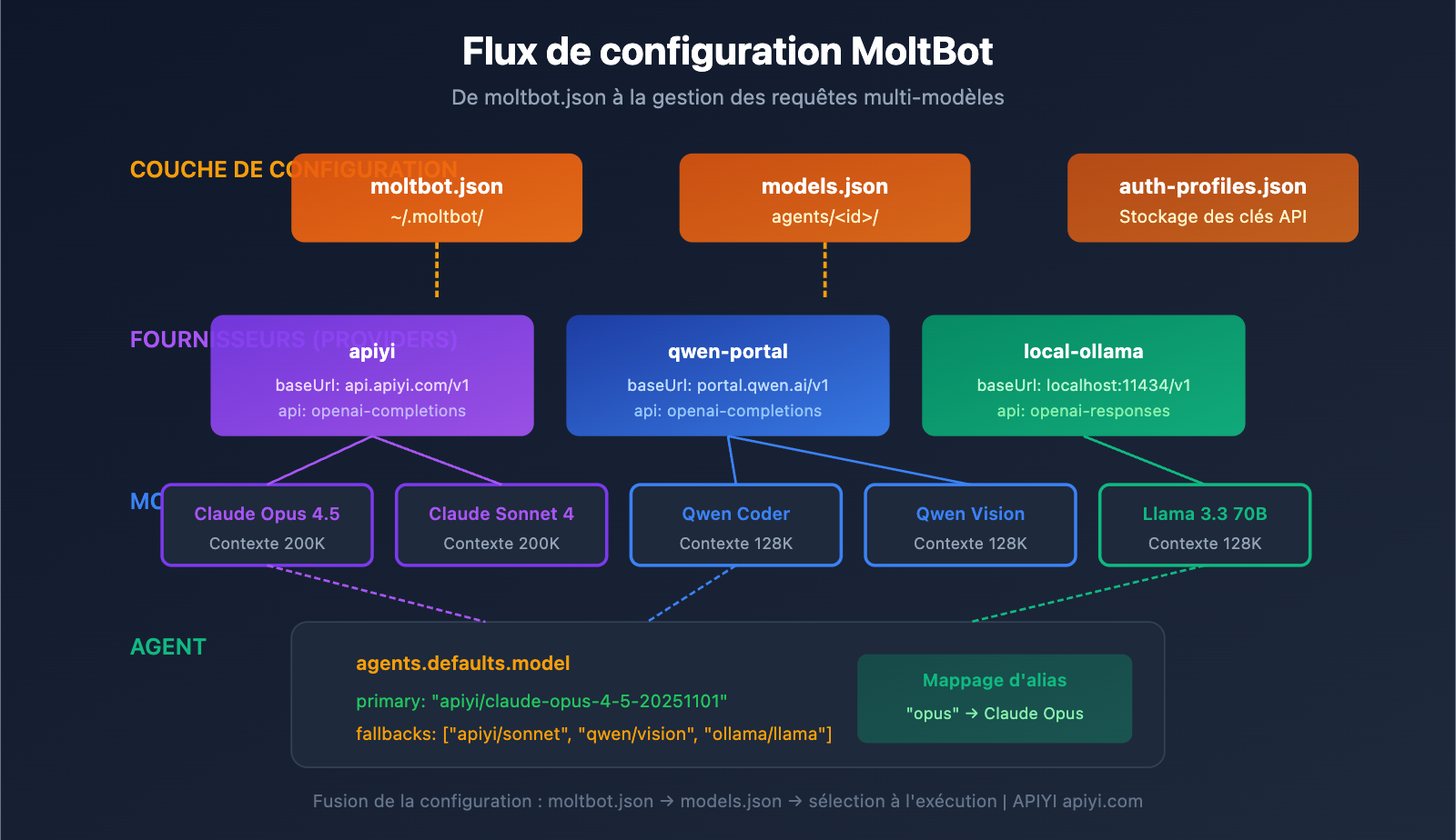 moltbot-api-proxy-configuration-guide-fr 图示